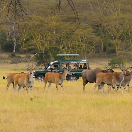 Lake Elmenteita Serena Camp ภายนอก รูปภาพ