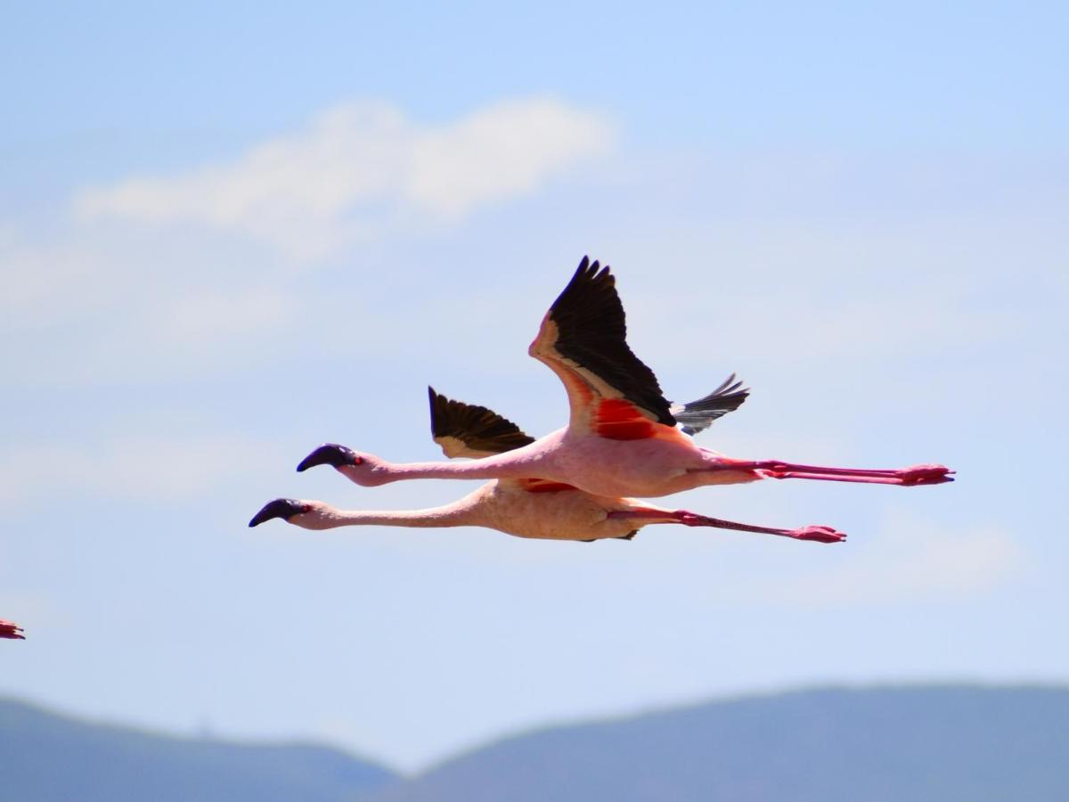 Lake Elmenteita Serena Camp ภายนอก รูปภาพ