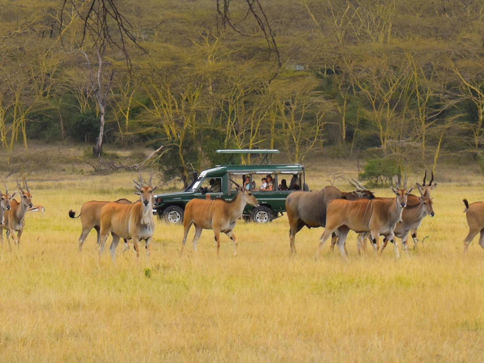 Lake Elmenteita Serena Camp ภายนอก รูปภาพ