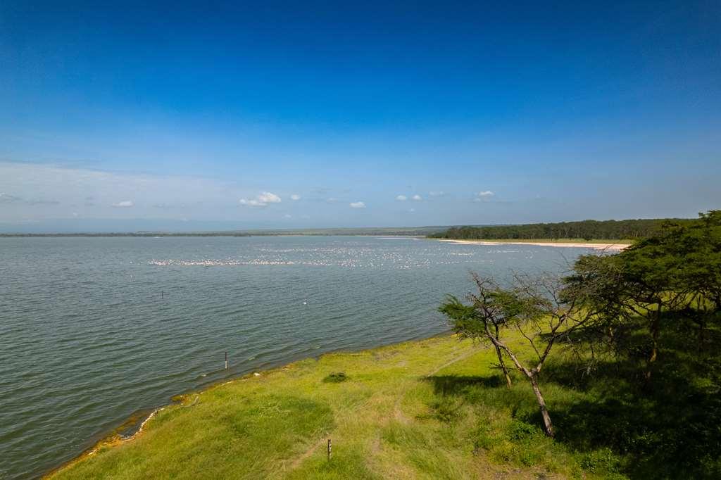 Lake Elmenteita Serena Camp ภายนอก รูปภาพ