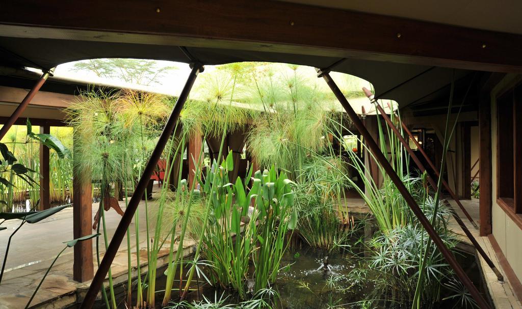 Lake Elmenteita Serena Camp ภายนอก รูปภาพ